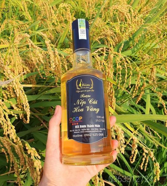 Rượu nếp cái hoa vàng cao cấp chai 500ml