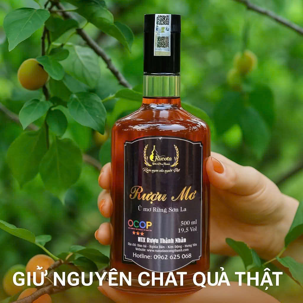 Cách Ngâm Rượu Mơ Ngon Tại Nhà – Công Thức Chuẩn, Dễ Làm