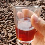 RƯỢU CHUỐI HỘT