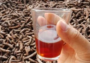 RƯỢU CHUỐI HỘT